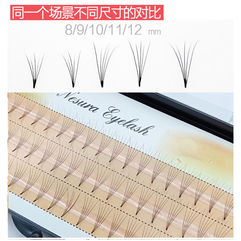 5D lash extension Camilla individual Natural looking eyelashes